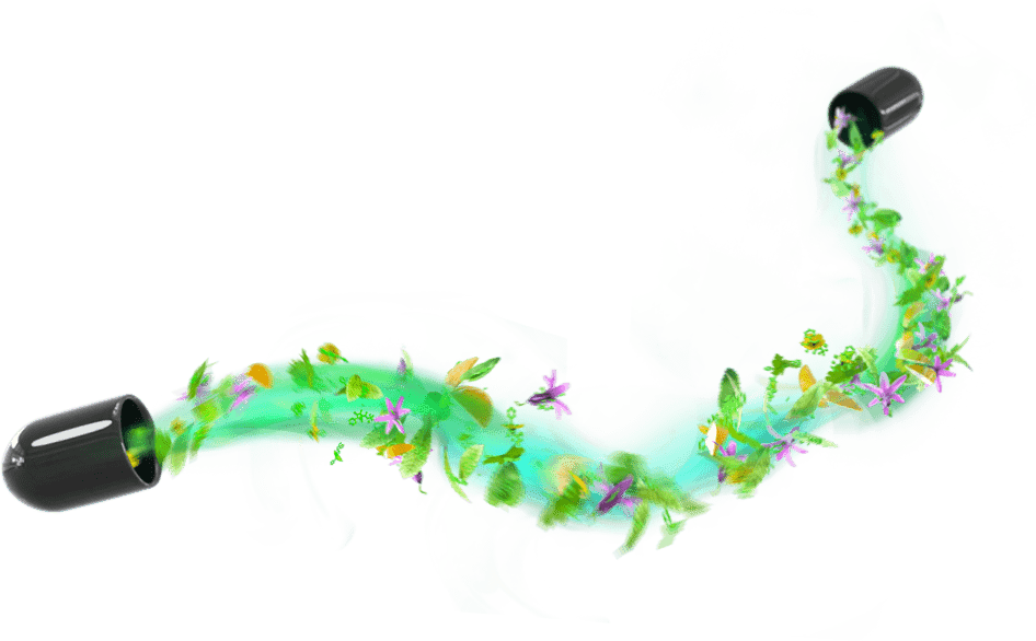 капсула